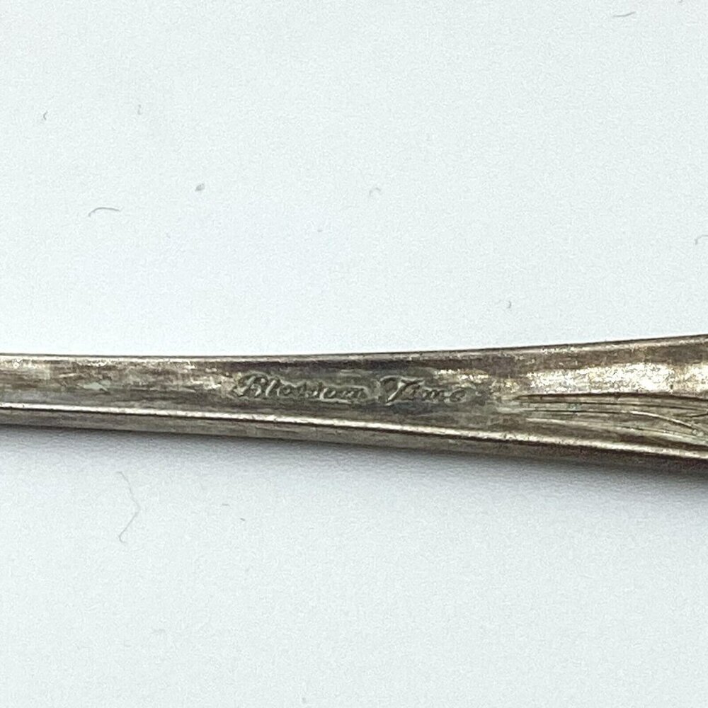 Mid Century International Sterling Silver Blossom Time Tea/Infant Spoon ENGRAVED - Picture 3 of 7